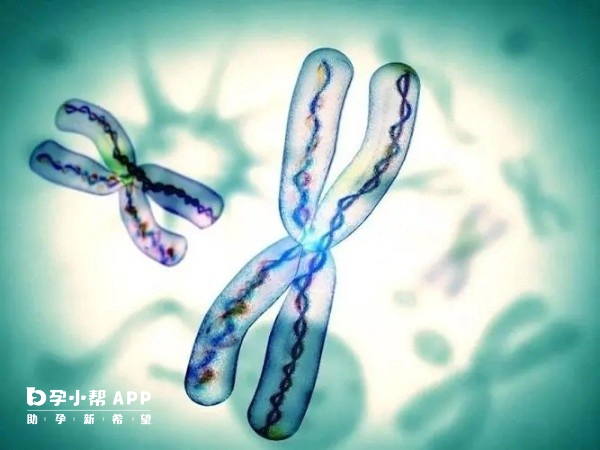 深圳妇产医院试管婴儿性别选择技术