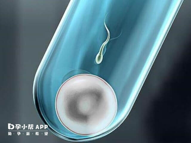 柳州捐卵研究与需求