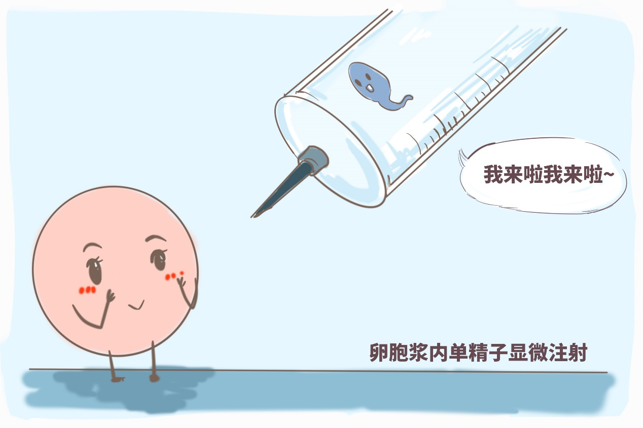 株洲捐卵试管移植技术探究