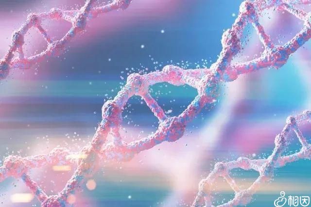 深圳捐卵志愿者:生命延续与社会责任