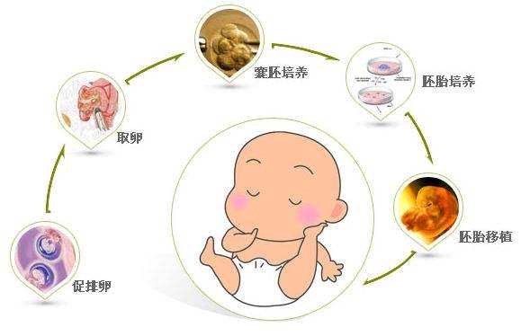 深圳捐卵微信平台:倡导科学医学价值观